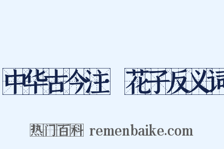中华古今注·花子反义词是什么意思的图片